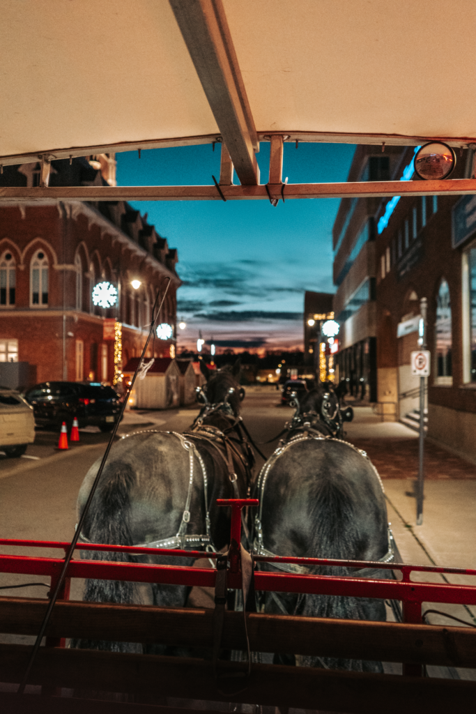 Enchanted holiday Market in downtown Belleville