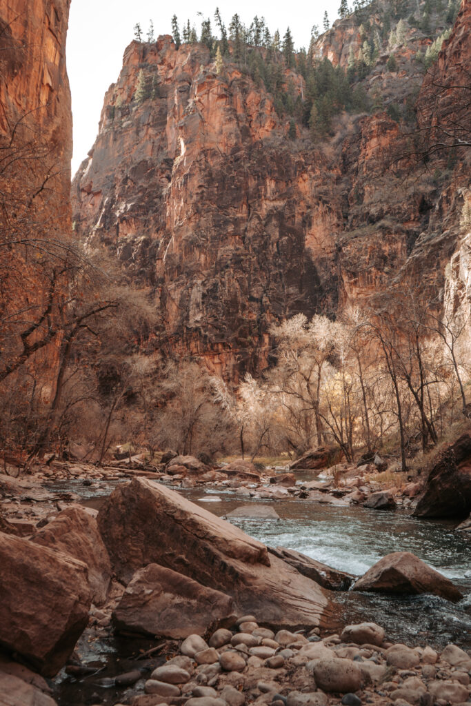 View from Riverside Walk Trail in Zion National Park 