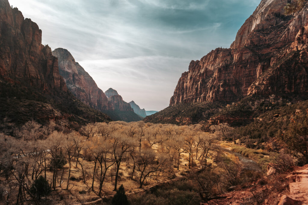 View from Kayenta Trail in Zion National Park 