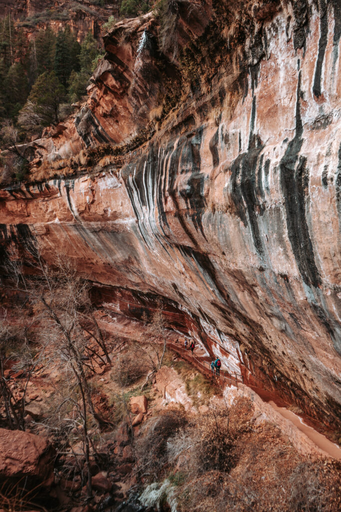 Lower Emerald Pool in Zion national Park