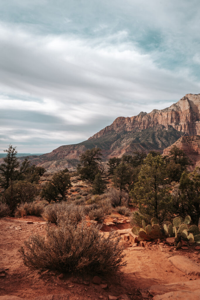 Watchman Trail in Zion National Park