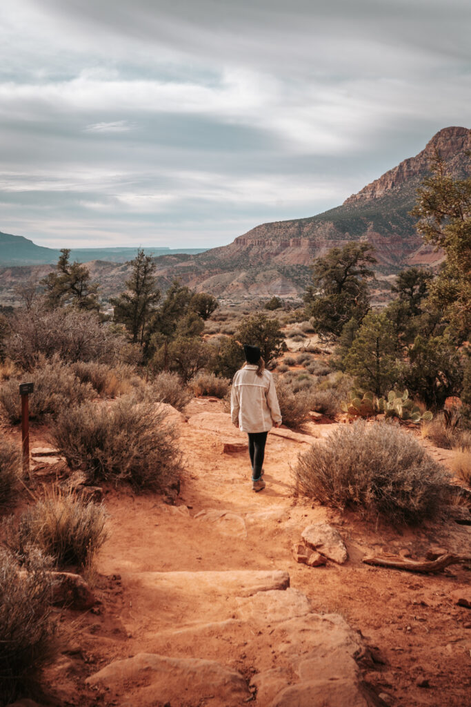 Watchman Trail in Zion National Park