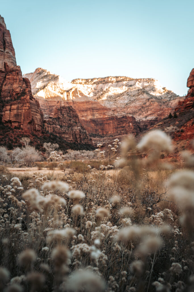 Scout's Lookout Trail in Zion National Park