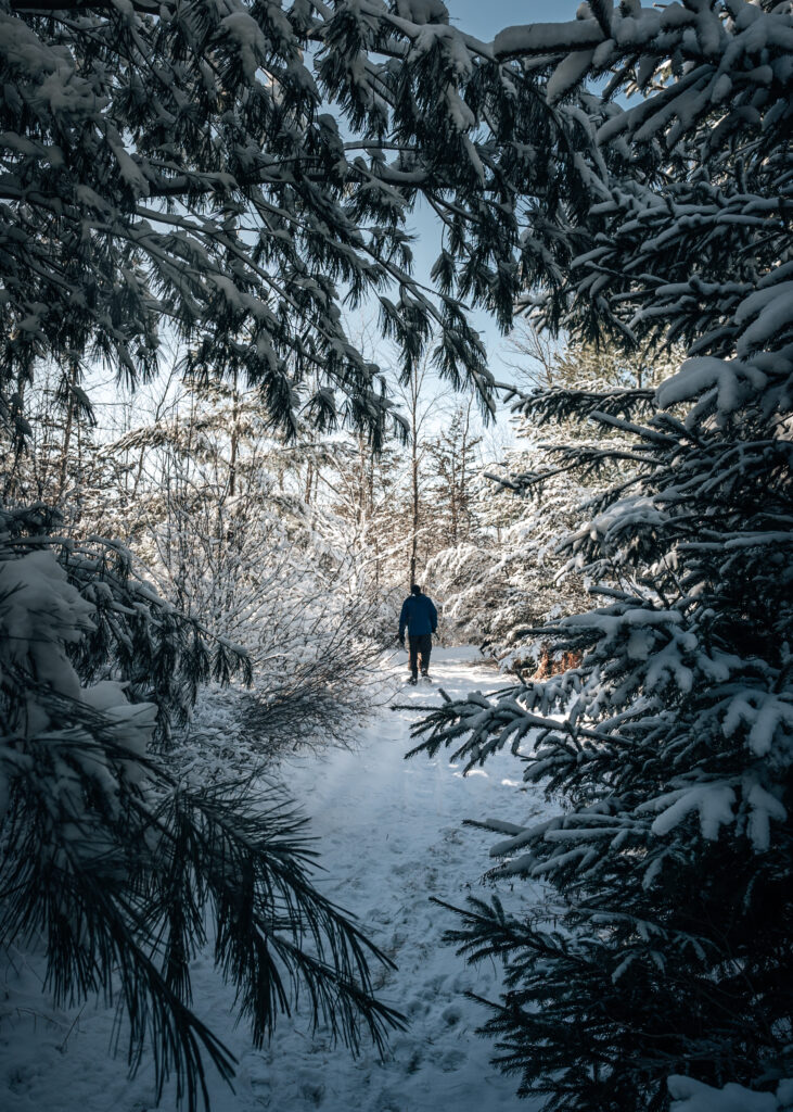 Winter in Prince Edward County