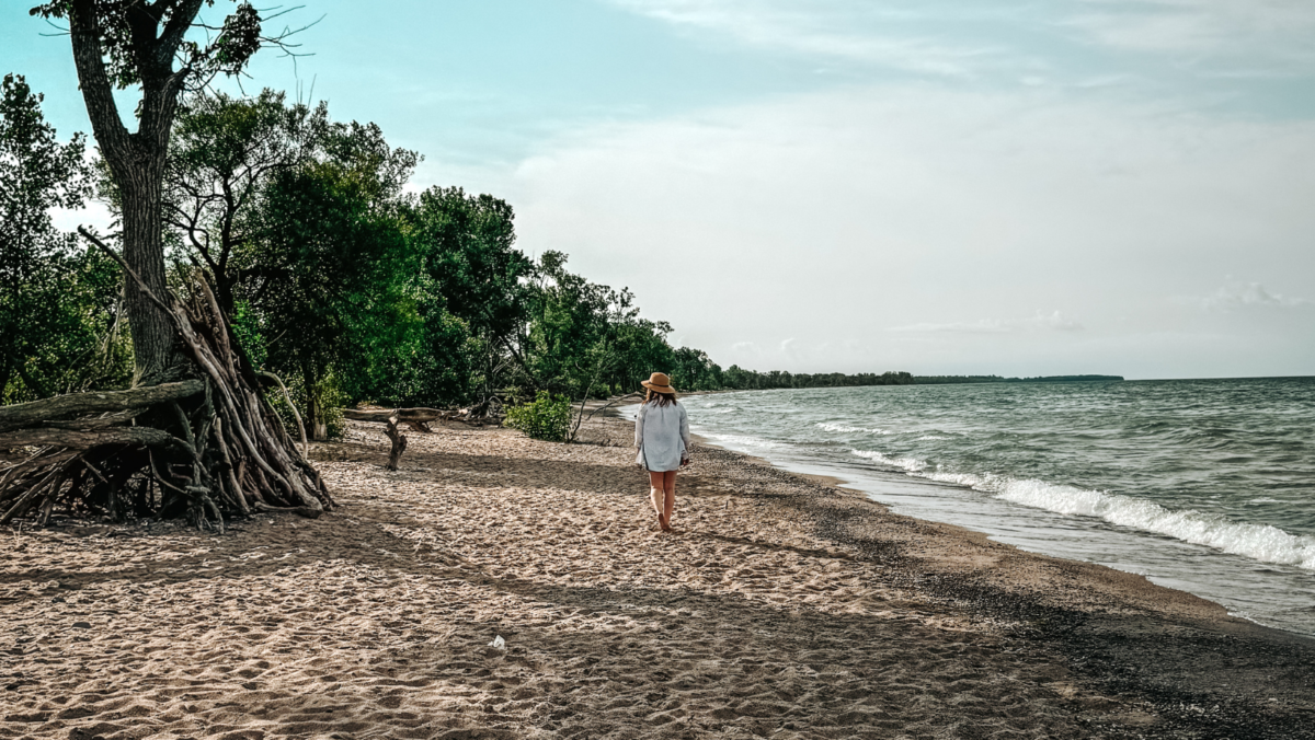Things to do in Prince Edward County