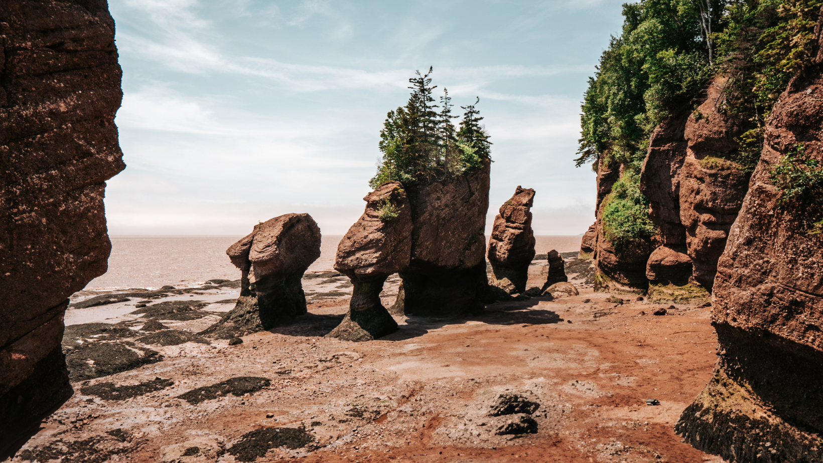 Things to do in the Bay of Fundy