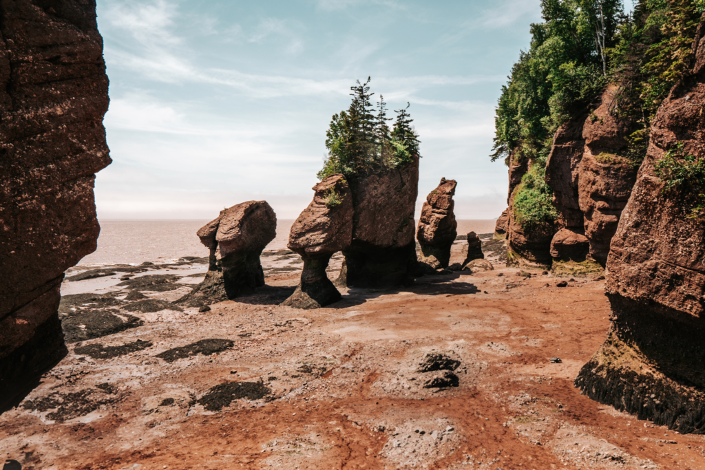 Things to do in the Bay of Fundy