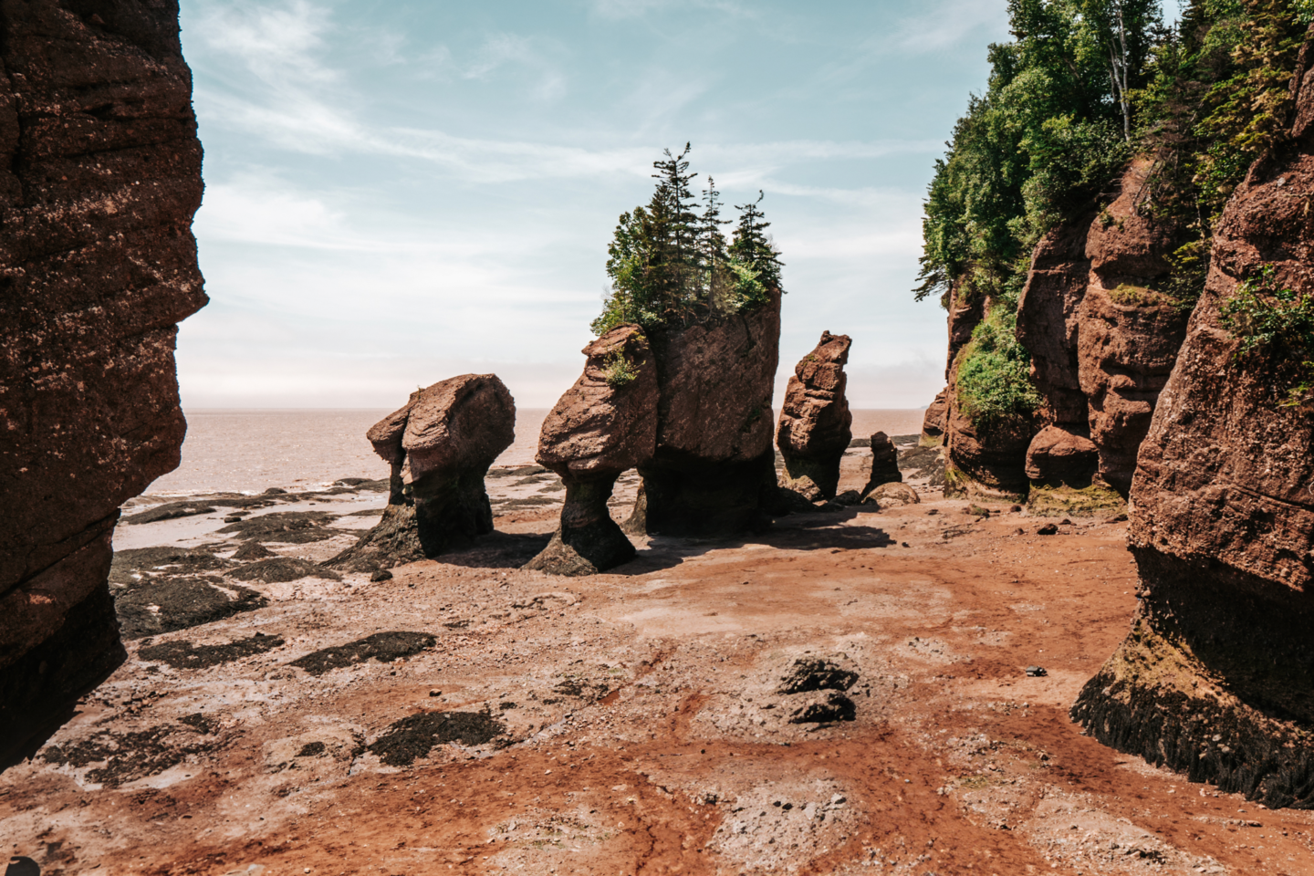 Quick Guide to Visiting Hopewell Rocks Provincial Park