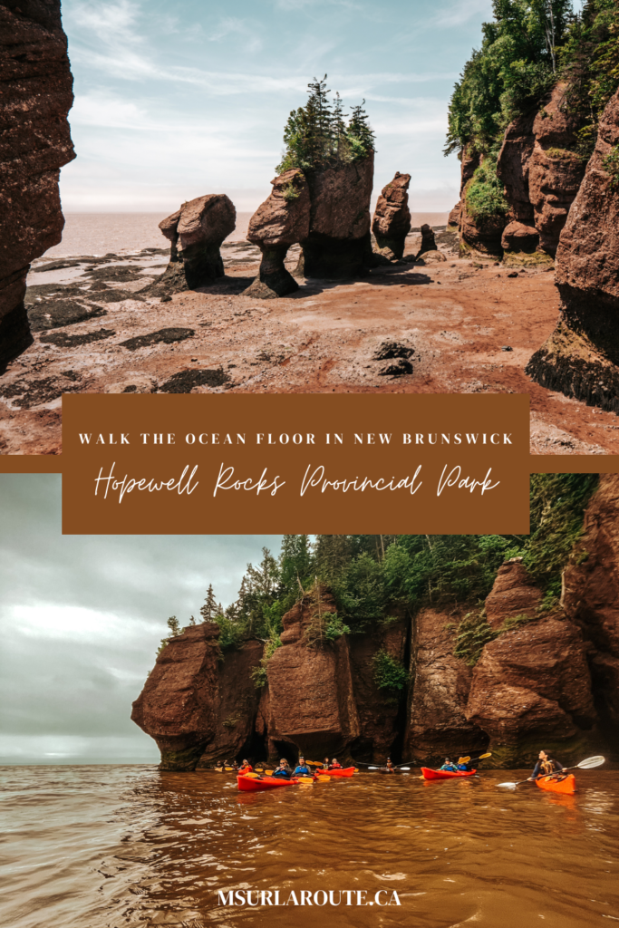 Visiting Hopewell Rocks