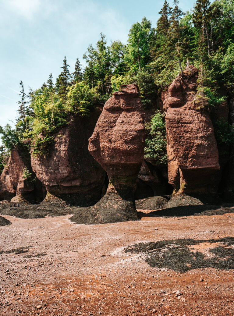Quick Guide to Visiting Hopewell Rocks Provincial Park