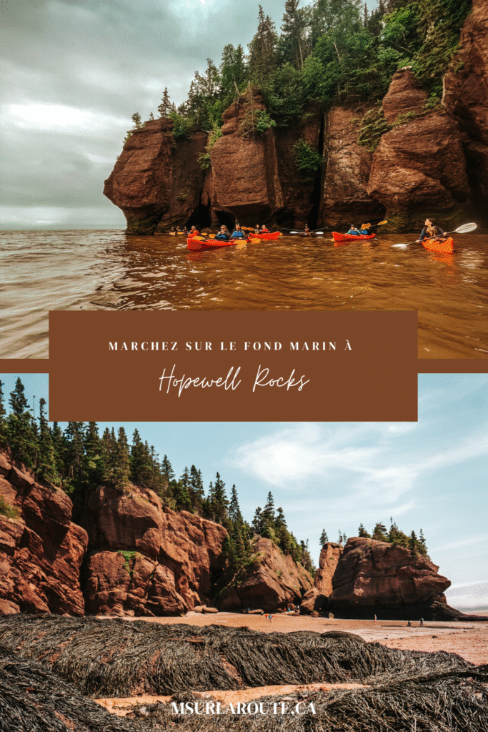 parc provincial Hopewell Rocks