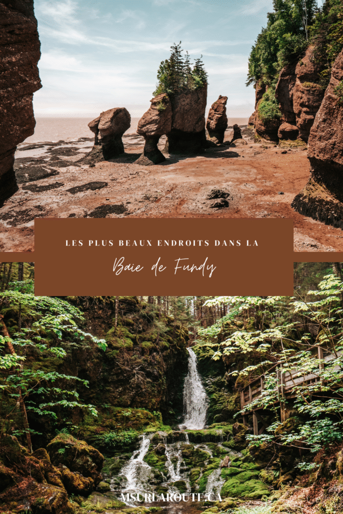 choses à faire dans la baie de Fundy