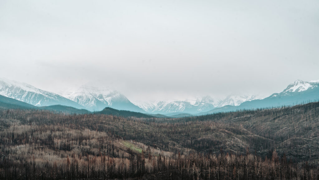 Jasper National Park in 2025